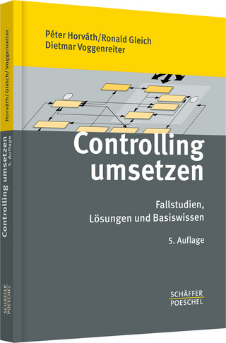 Controlling umsetzen