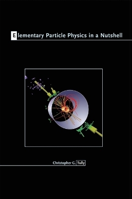 Elementary Particle Physics in a Nutshell