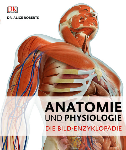 Anatomie und Physiologie - 