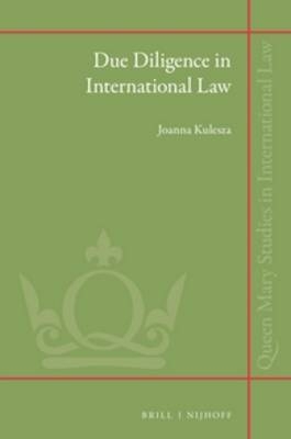 Due Diligence in International Law - Joanna Kulesza
