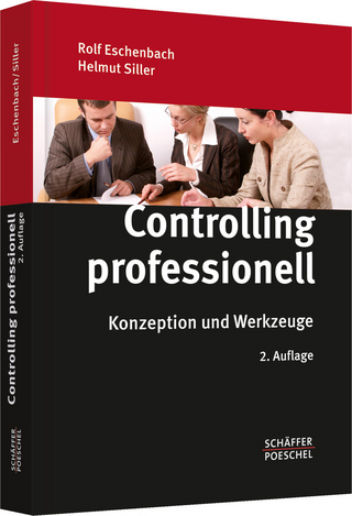 Controlling professionell
