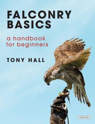 Falconry Basics