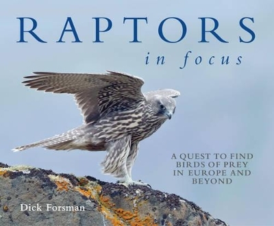 Raptors in Focus - Dick Forsman