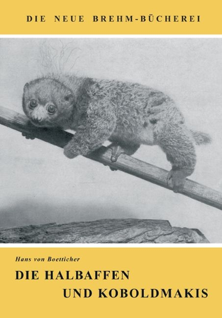 Die Halbaffen und Koboldmakis - Hans von Boetticher