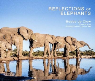 Reflections of Elephants