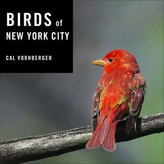 Birds of New York City