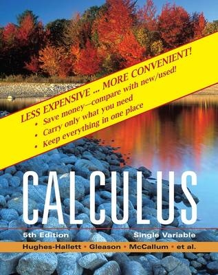 Calculus - Deborah Hughes-Hallett, Andrew M. Gleason, Guadalupe I. Lozano, Douglas Quinney, Eric Connally