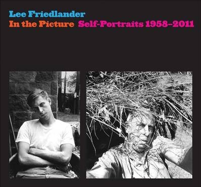 In the Picture - Lee Friedlander