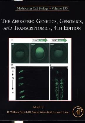The Zebrafish: Genetics, Genomics, and Transcriptomics
