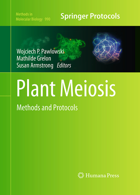 Plant Meiosis - 