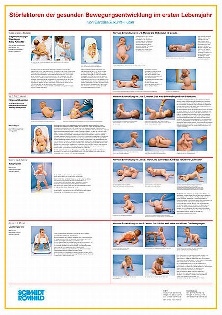 St&ouml;rfaktoren der gesunden Bewegungsentwicklung im ersten Lebensjahr - Barbara Zukunft-Huber