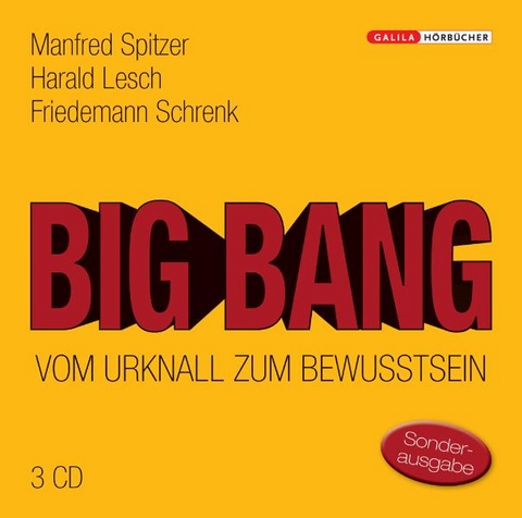 Big Bang: Vom Urknall zum Bewusstsein - Manfred Spitzer, Friedemann Schrenk, Harald Lesch