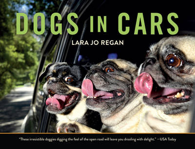 Dogs in Cars - Lara Jo Regan