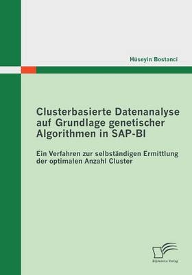 Clusterbasierte Datenanalyse auf Grundlage genetischer Algorithmen in SAP-BI - Hüseyin Bostanci