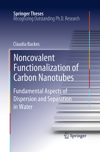Noncovalent Functionalization of Carbon Nanotubes