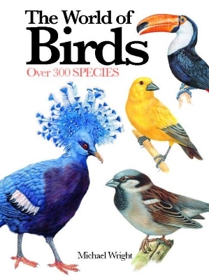 The World of Birds