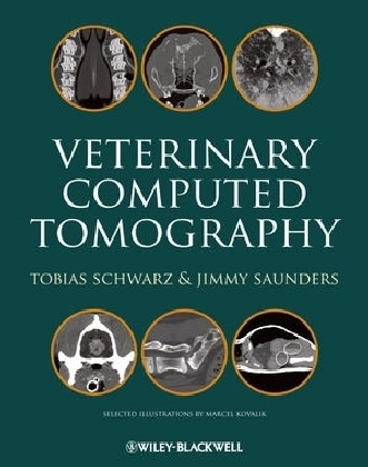 Veterinary Computed Tomography - 