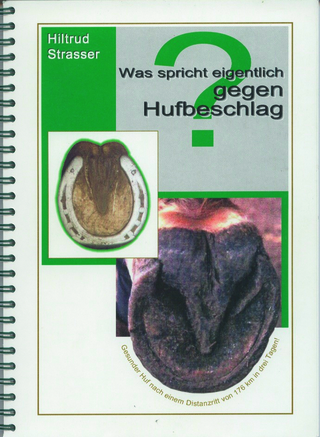 Was spricht eigentlich gegen Hufbeschlag?