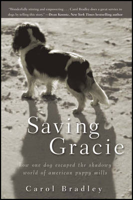 Saving Gracie - Carol Bradley