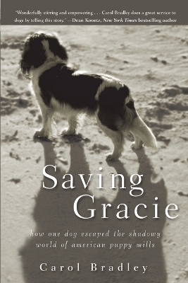 Saving Gracie - Carol Bradley