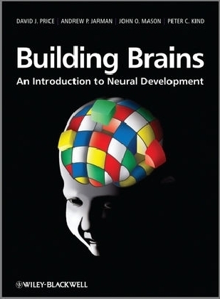 Building Brains - David J. Price, Andrew P. Jarman, John O. Mason, Peter C. Kind