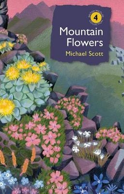 Mountain Flowers - Michael Scott