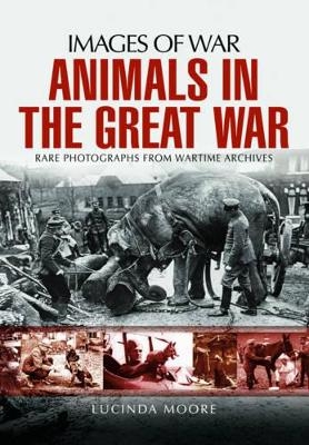 Animals in the Great War - Lucinda Moore