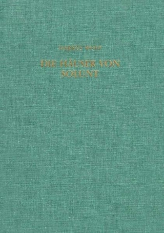 Die Häuser von Solunt und die hellenistische Wohnarchitektur