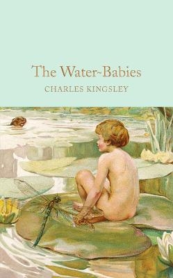 The Water-Babies - Charles Kingsley