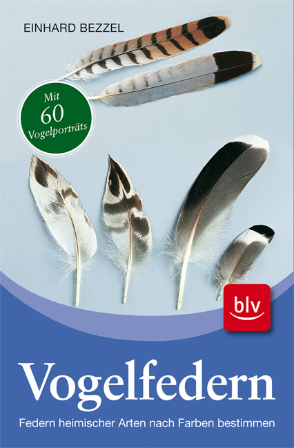 Vogelfedern - Einhard Bezzel