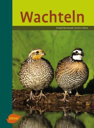 Wachteln - Friedel Bernhardt, Armin K&uuml;hne