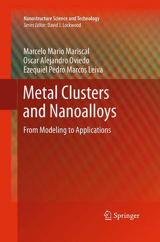 Metal Clusters and Nanoalloys