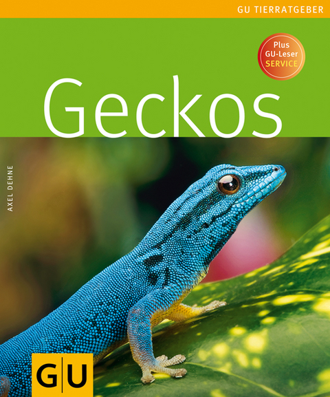 Geckos - Axel Dehne