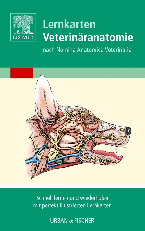 Lernkarten Veterin&auml;ranatomie / Veterinary Anatomy Flash Cards - Baljit Singh
