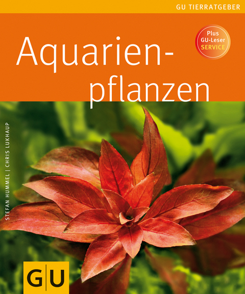 Aquarienpflanzen - Stefan Hummel