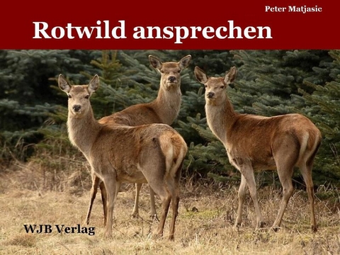 Rotwild ansprechen - Peter Matjasic