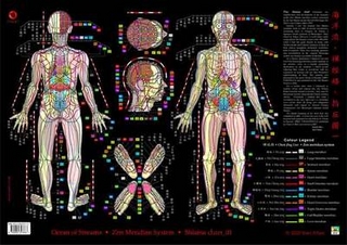Ocean of Streams - Shiatsu Chart