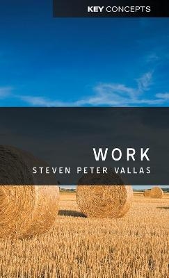 Work - Steven Vallas