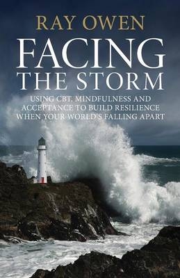 Facing the Storm - Ray Owen