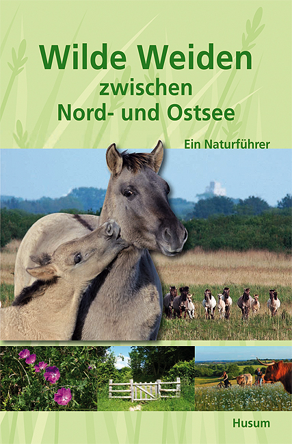 Wilde Weiden zwischen Nord- und Ostsee - 