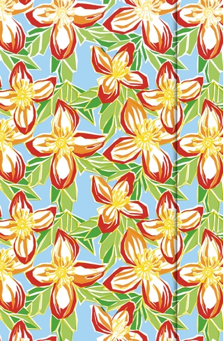 Hawaiian Small Magneto Journal Unlined