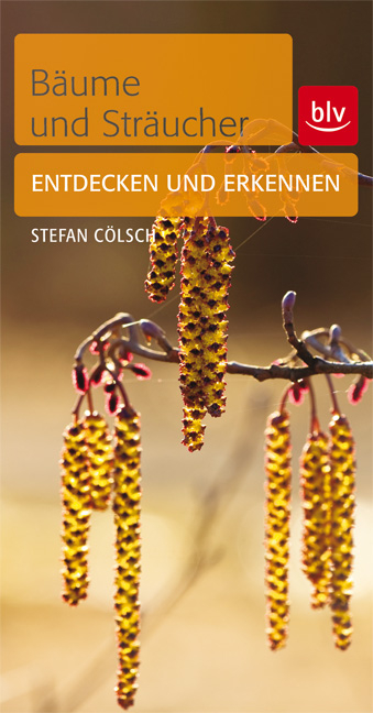 B&auml;ume & Str&auml;ucher - Stefan C&ouml;lsch