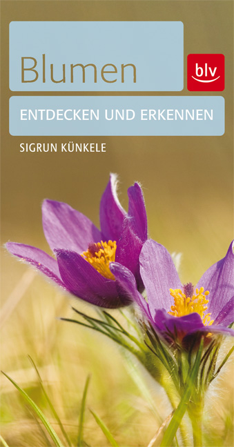 Blumen - Sigrun K&uuml;nkele