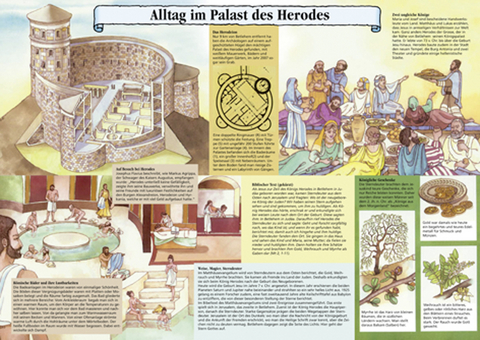 Alltag im Palast des Herodes - Walter B&uuml;hlmann, Annemarie Schwegler