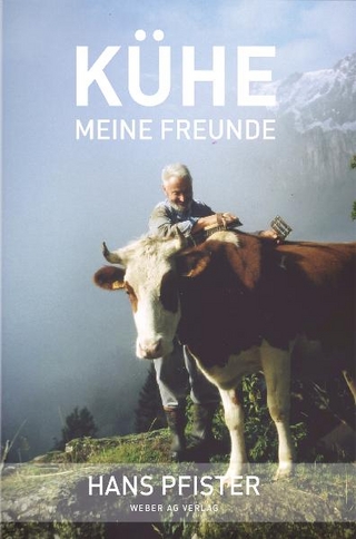 Kühe Meine Freunde