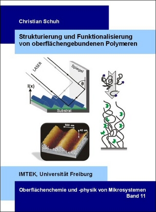 Strukturierung und Funktionalisierung von oberflächengebundenen Polymeren