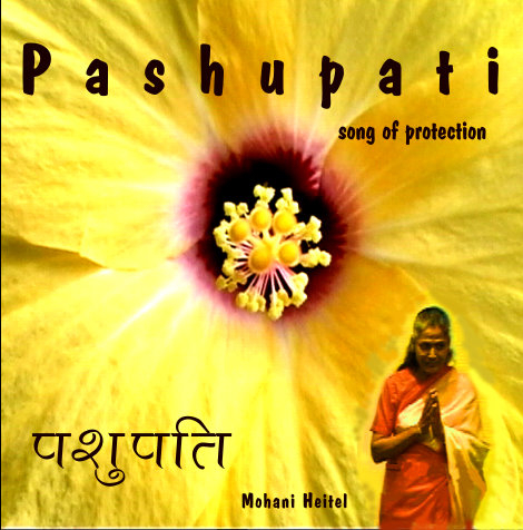 Pashupati - Mohani Heitel