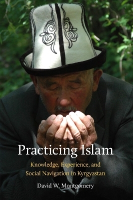 Practicing Islam - David Montgomery