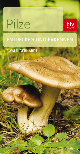 Pilze - Ewald Gerhardt