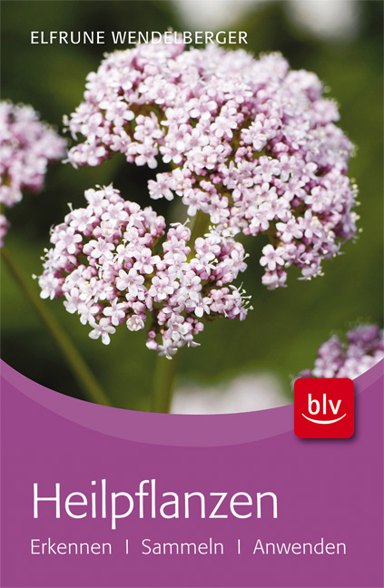 Heilpflanzen - Elfrune Wendelberger